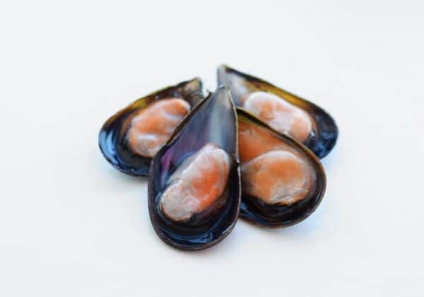 mejillones cocidos congelados